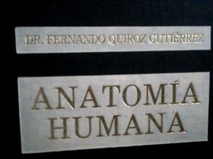 anatomia humana quiroz pdf gratis anatomia humana quiroz pdf gratis
