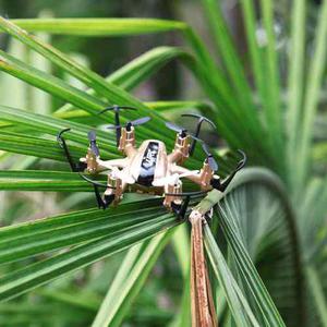 Jjrc H20 Diminuto 2.4g 6 Eje Gyro 4ch Rc Hexacopter Sin Cabe