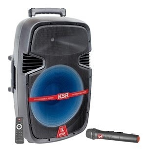 Bafle Amplificado Recargable Mic Bocina 12 Bluetooth 