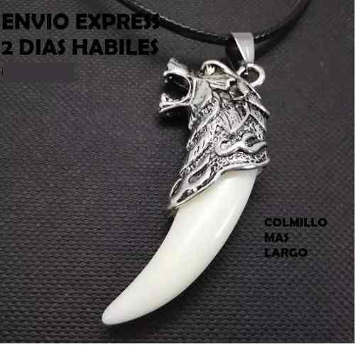 Collar Colmillo De Lobo Acero Titanium Envío Express