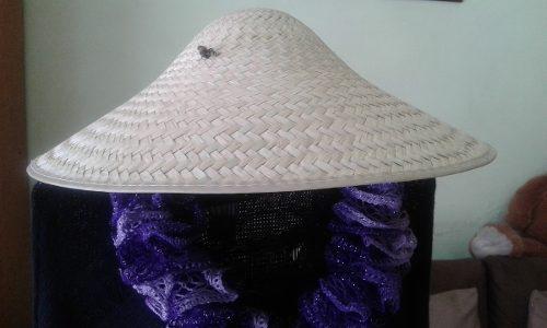 Sombrero Tipo Chino De Palma