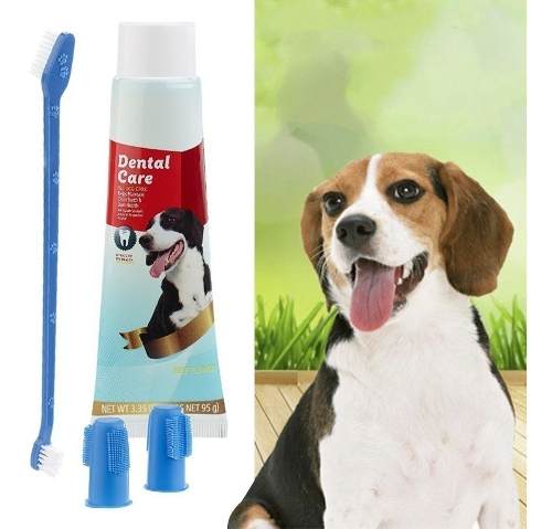 Kit Dental Para Perro Mascota Aseo Bucal Pasta Cepillo