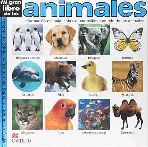 Libro Mi Gran Libro De Los Animales - Nuevo