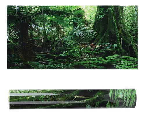 Pvc Reptile Box Rainforest - Póster De Fondo Para Peceras