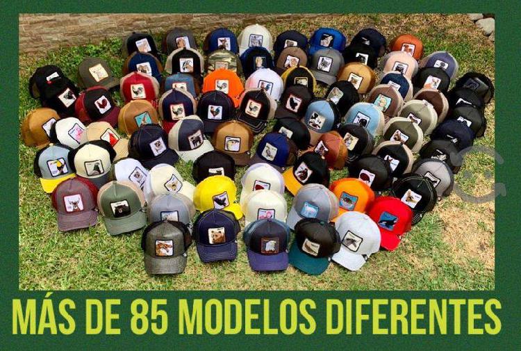 Gorras y mas gorras originales guadalajara 🥇 | Posot Class