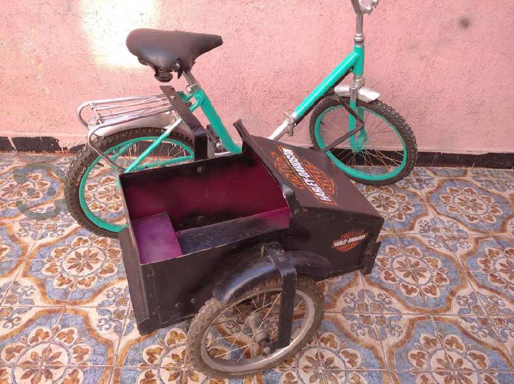 Bicicleta con Sidecar para llevar niños o mascotas