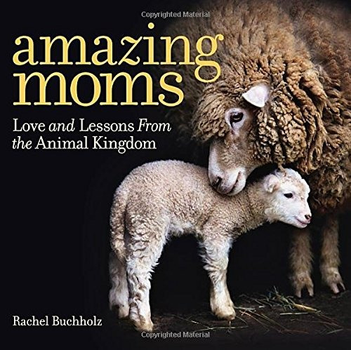Libro Amazing Moms: Love And Lessons From The Animal Kingd