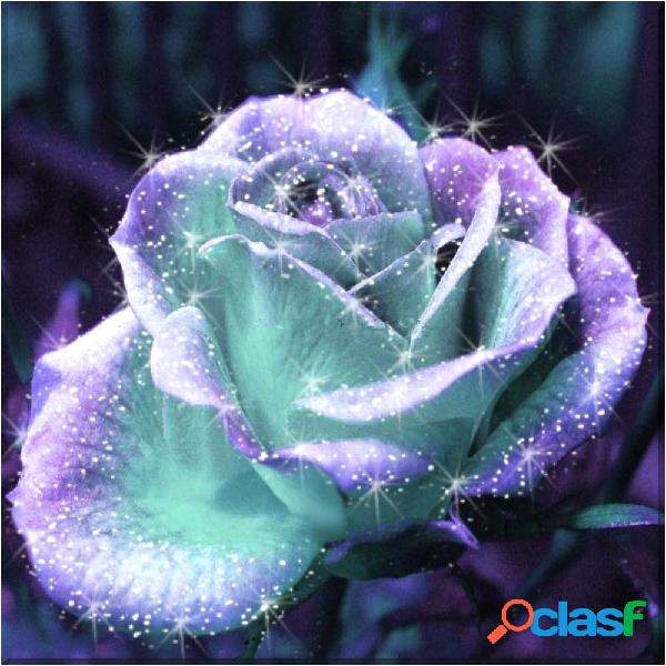 20Pcs / Set Rosa fluorescente Semillas Raro Rose Planta