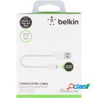 Belkin Cable USB A Macho - Lightning Macho, 15cm, Blanco