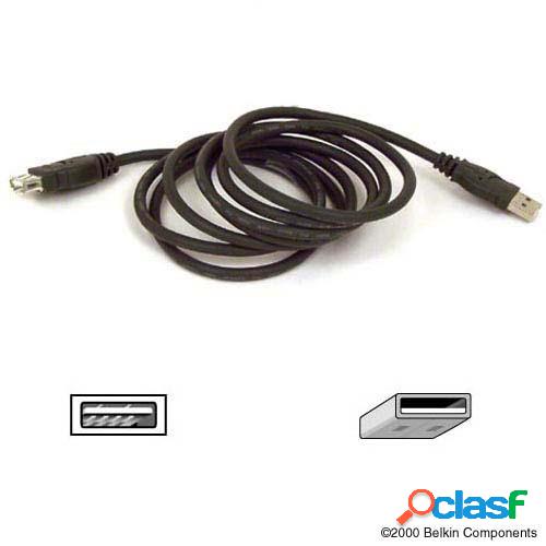 Belkin Cable USB A Macho - USB A Hembra, 1.8 Metros, Negro