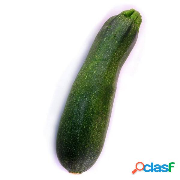 Egrow 20 Unids / pack Zucchini Squash Seed Vegetable Fruits