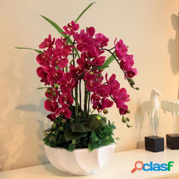 Egrow 200 unids / Bolsa Orquídea Phalaenopsis Semillas