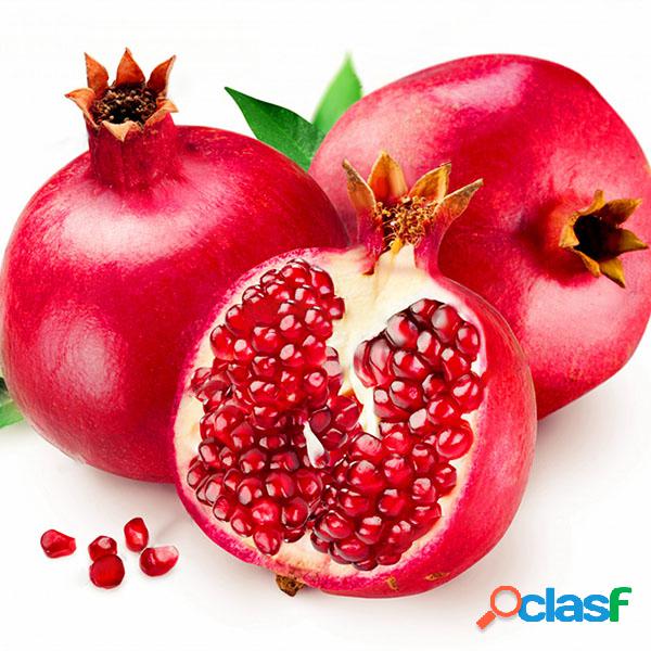 Egrow 30 Unids / pack Semillas de Granada Dulce Delicioso