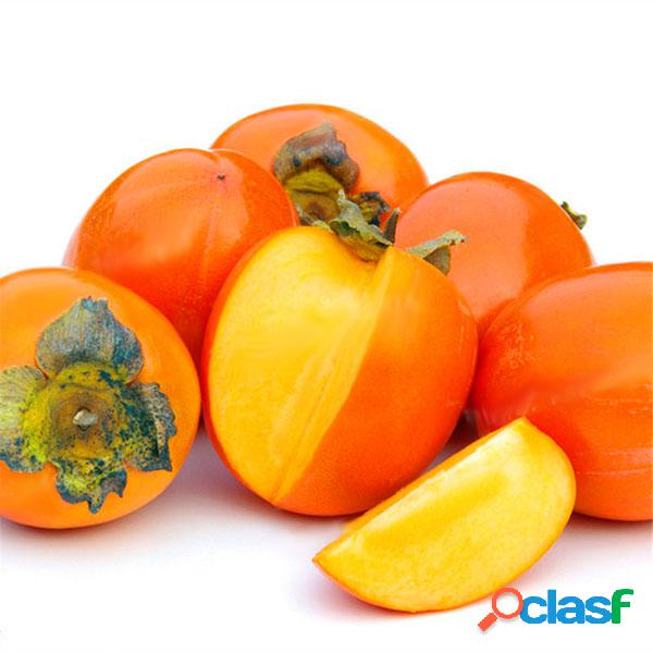 Egrow 30 Unids / pack Semillas de Árboles Persimmon