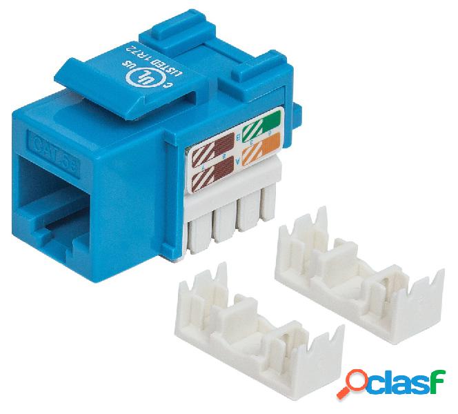 Intellinet Jack Categoría 5e, RJ-45, Azul