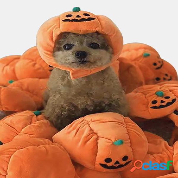Pet Halloween Pumpkin Sombrero Teddy Vestido Up Perro Gato