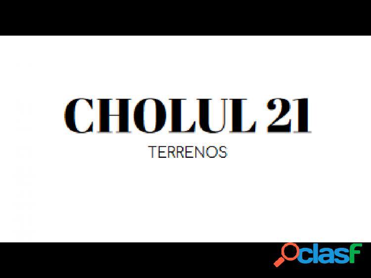 TERRENOS CHOLUL 21