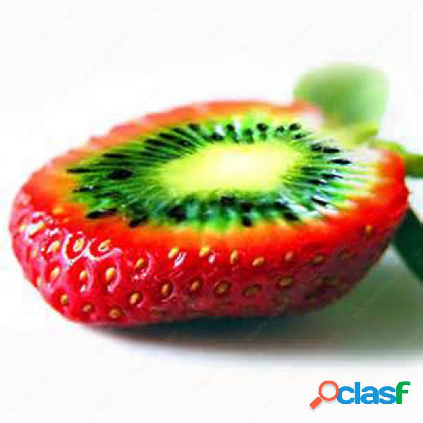100 unids Raras Semillas de Kiwi de Fresa Semillas de Frutas