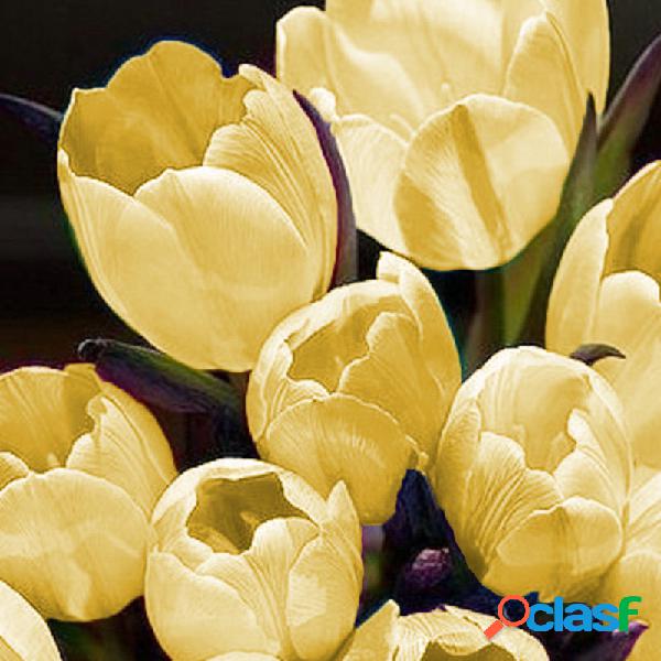 5 Unids Tulip Bulbos Semillas Balcón En Maceta Planta