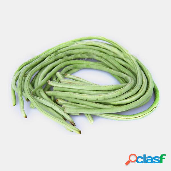 Egrow 60 piezas / paquete Semillas de caupí Semillas de