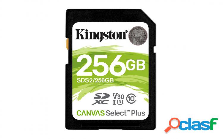 Memoria Flash Kingston Canvas Select Plus, 256GB SDXC UHS-I