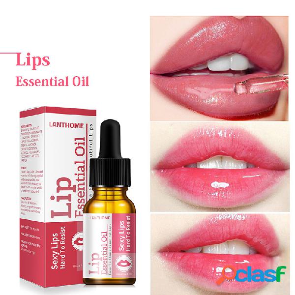 Cuidado nutritivo labial Essential Oil Esencia hidratante