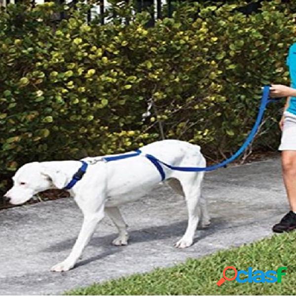 Mascota Perro Entrenador azul Perro Trenes con correa Perros