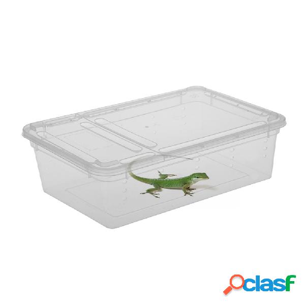 Plástico Plástico Caja Insecto Reptil Transporte