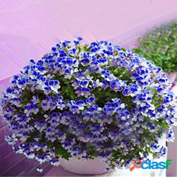 Egrow 100 PCS Geranium Seeds Garden Semillas de flores en