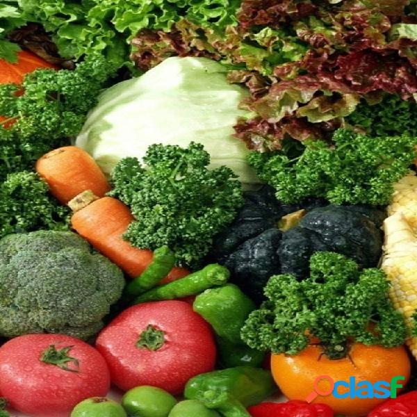 Paquete de vegetales Semillas Verduras de jardín Semillas