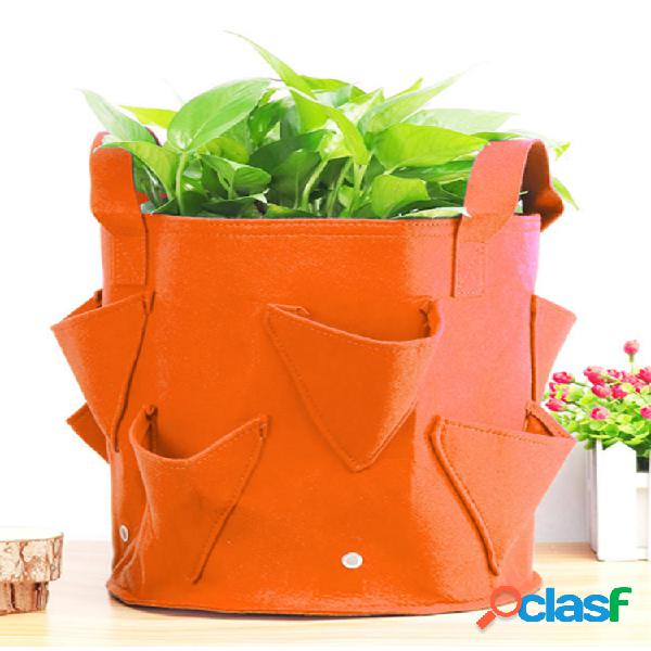 Patata Fresa Planta Cultivar Bolsa Plantaer Balcón