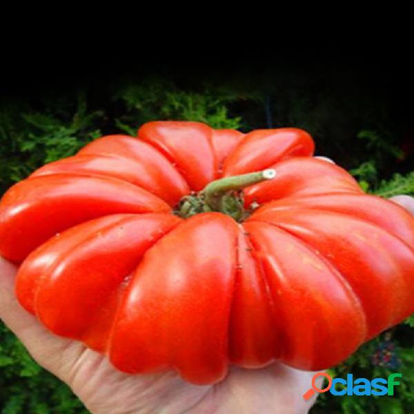 Egrow 200 Pcs / Pack Tomate Semillas Garden Planta para Home
