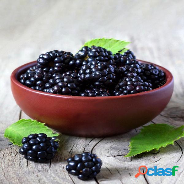 Egrow 200Pcs Blackberry Fruit Semillas Home Garden Planting