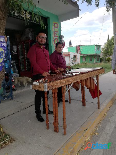Marimba Orquesta Versátil