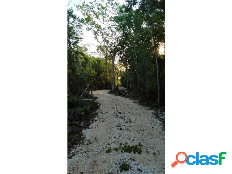 Remate 15 hectáreas selva alta Leona Vicario