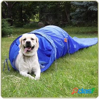 Mascota Perro Túnel de entrenamiento de agilidad obediencia