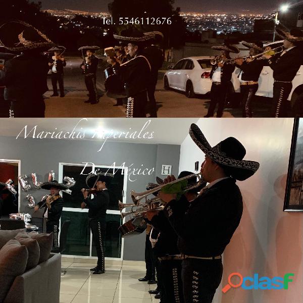 mariachis en Ecatepec 55461 12676 telefono mariachi informes