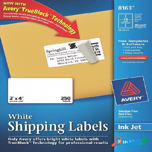 Avery Etiquetas para Dirección 8163, 250 Etiquetas de 2'' x
