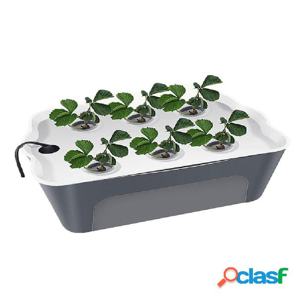 Planta de semillero de vegetales hidropónicos de 6 agujeros