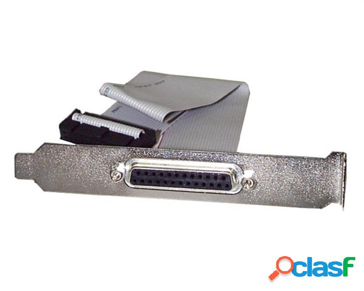 StarTech.com Cable Serial DB-25 Hembra - IDC Macho, 40cm