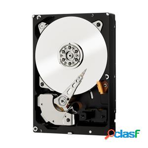 Disco Duro Interno Western Digital WD RE 3.5", 250GB, SATA