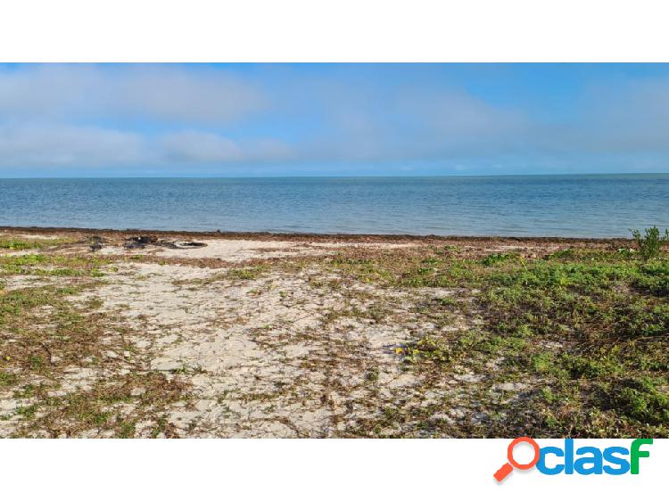 terreno en venta,frente al mar, en la playa de Yucatán