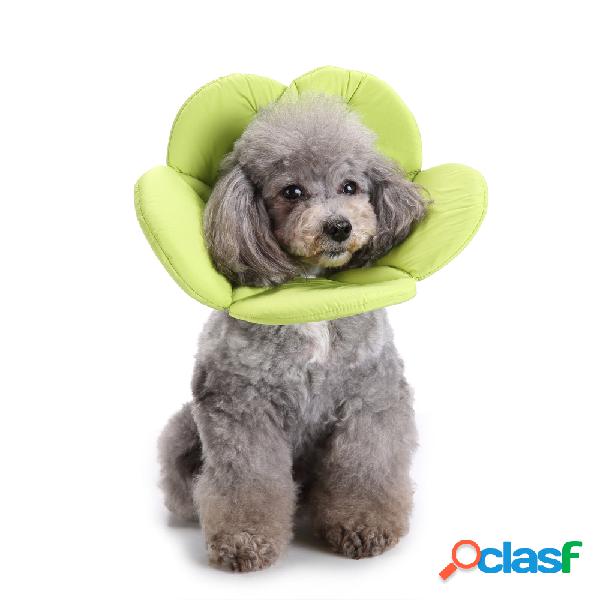 Esponja verde suave flor forma perro gato cuello mascota