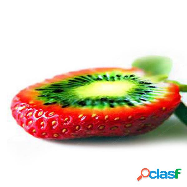 100 unids Raras Semillas de Kiwi de Fresa Semillas de Frutas