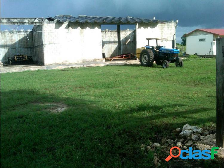 Vendo Terreno Rancho Miguel Hidalgo y Costilla cerca Bacalar