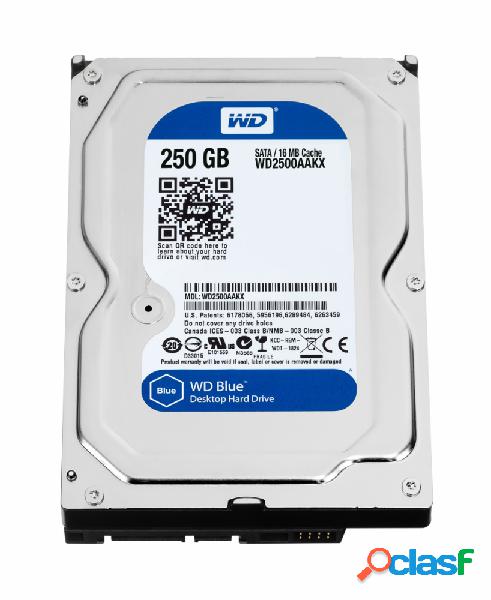 Disco Duro Interno Western Digital WD Caviar Blue 3.5'',
