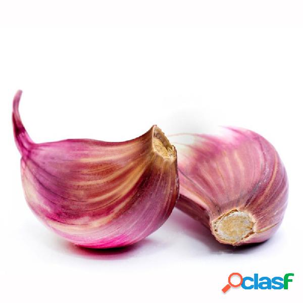 Egrow 100 Unids / bolsa Multi-pétalos Red Garlic Seeds