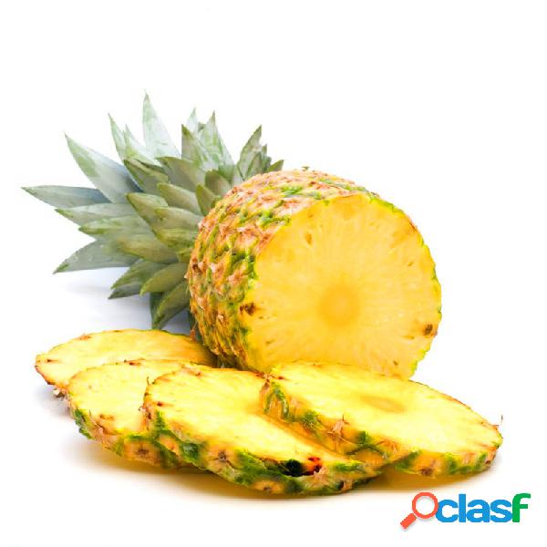 Egrow 100PCS Sweet Pineapple Semillas Home Garden Potted