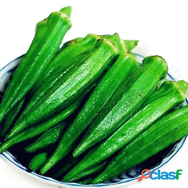 Egrow 20PCS / Pack Okra Semillas Orgánica No GMO Okra