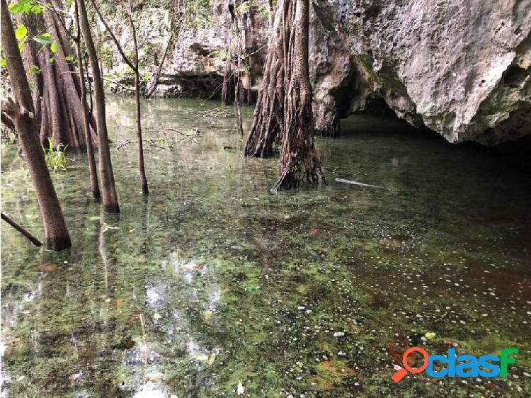 Venta 10 hectáreas con cenote ruta cenotes puerto morelos.